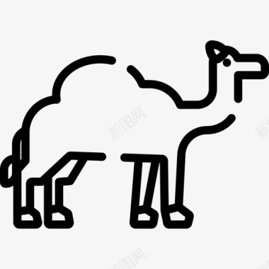 骆驼动物28直系图标图标