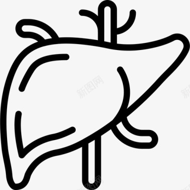 肝脏解剖学医生图标图标