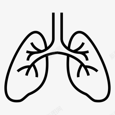 肺内科解剖学呼吸图标图标