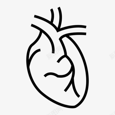 心脏病学解剖学心血管图标图标