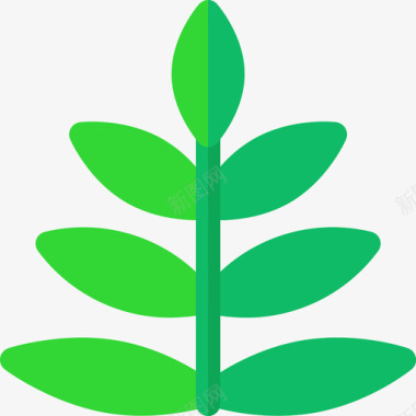 蕨类植物热带4平坦图标图标