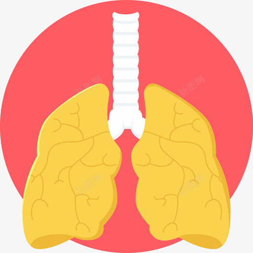 肺医用33扁平图标svg_新图网 https://ixintu.com 医用33 扁平 肺