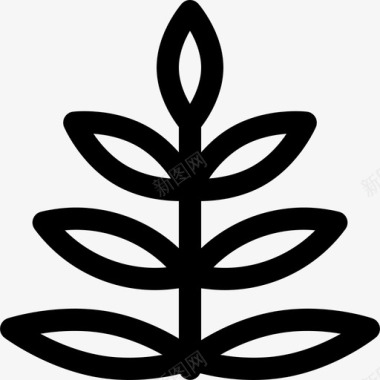 蕨类植物热带5线形图标图标