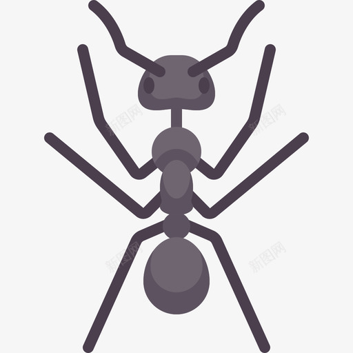 蚂蚁昆虫3扁平图标svg_新图网 https://ixintu.com 扁平 昆虫3 蚂蚁