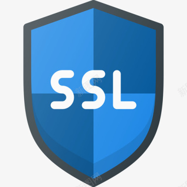 Ssl互联网安全21线性颜色图标图标