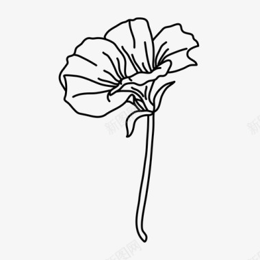 含苞待放的花植物学插图图标图标