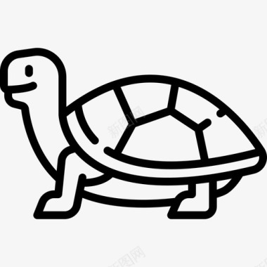 海龟动物与自然3直系图标图标