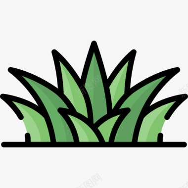 草室内植物2线状颜色图标图标