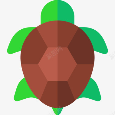 海龟热带4扁平图标图标