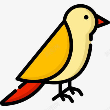 鸟兽医2线性颜色图标图标