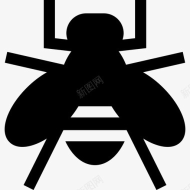 蜜蜂昆虫16填充图标图标