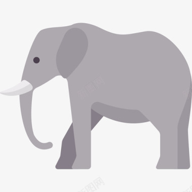 大象动物和自然平坦图标图标