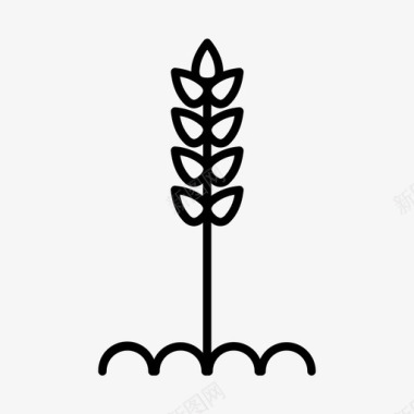 小麦农作物面筋图标图标