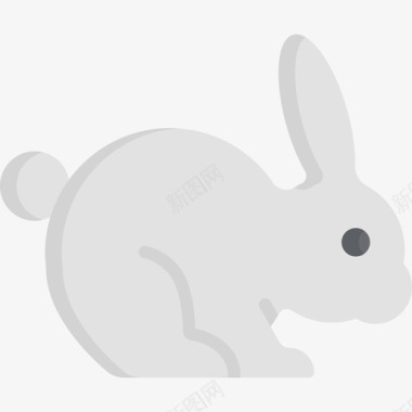 兔子17号弹簧扁平图标图标