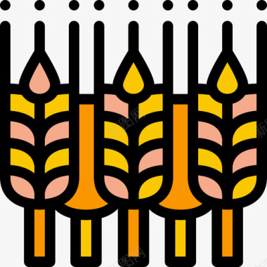 小麦6号村线形颜色图标图标