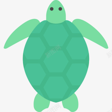 海龟海洋生物12扁平图标图标