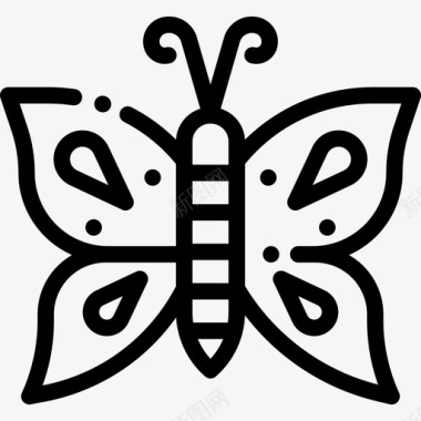 蝴蝶热带16线形图标图标