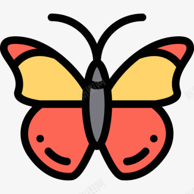 蝴蝶动物园5线性颜色图标图标