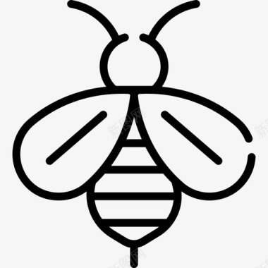 蜜蜂16号春直系图标图标