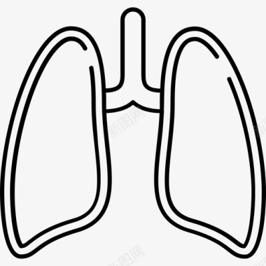 肺医疗43128px线图标图标