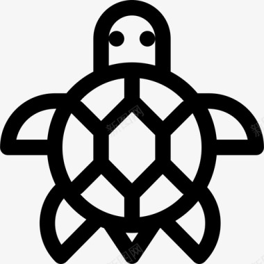 海龟夏威夷4直系图标图标