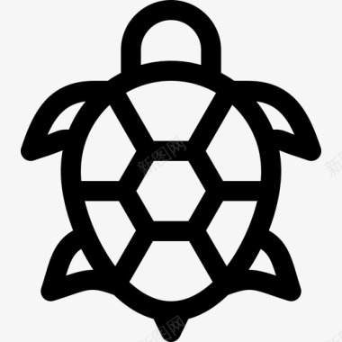 海龟热带5线形图标图标