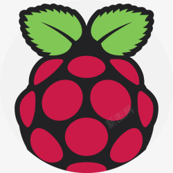 徽标设计软件RaspberryPi软件开发徽标平面图标高清图片