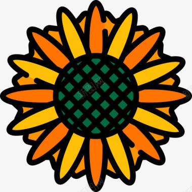 向日葵自然27线形颜色图标图标