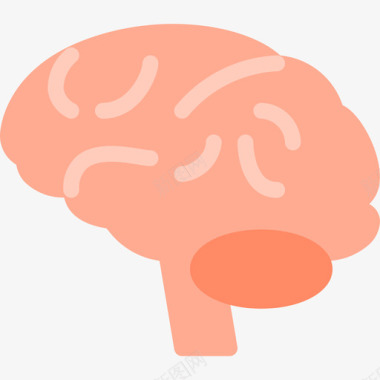 大脑医疗保健3扁平图标图标