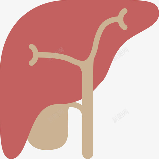 肝脏医用107扁平图标svg_新图网 https://ixintu.com 医用107 扁平 肝脏