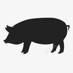 野生猪猪非洲动物图标高清图片