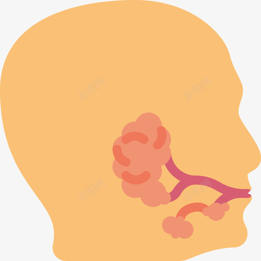 唾液腺医用107扁平图标svg_新图网 https://ixintu.com 医用107 唾液腺 扁平