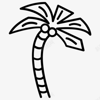 棕榈树山毛榉树枣树图标图标