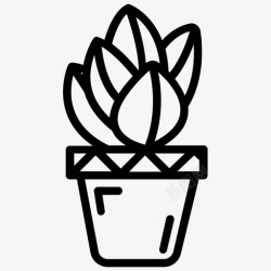 阔叶植物女士棕榈阔叶植物室内装饰图标高清图片