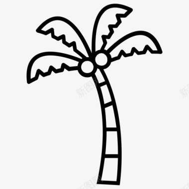 椰子树山毛榉树棕榈树图标图标