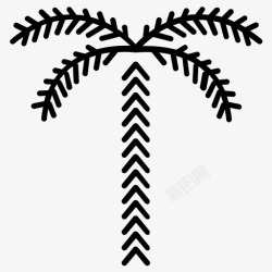 山毛榉山毛榉树椰子树棕榈树图标高清图片