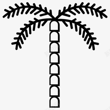 棕榈树山毛榉树枣树图标图标