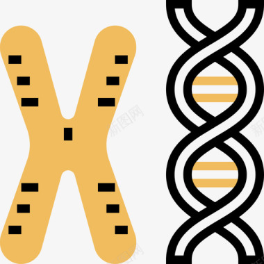 染色体生化6黄影图标图标