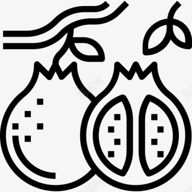 石榴水果和蔬菜3种直线型图标图标