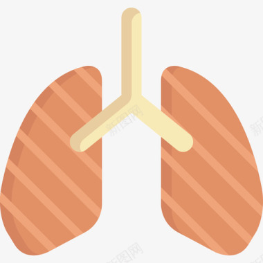 肺部4号医院平坦图标图标