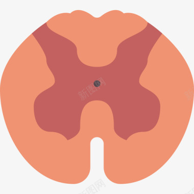 脊髓医用107扁平图标图标