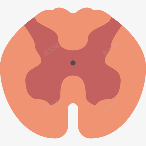 脊髓医用107扁平图标svg_新图网 https://ixintu.com 医用107 扁平 脊髓