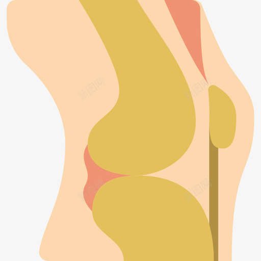 膝盖医用107扁平图标svg_新图网 https://ixintu.com 医用107 扁平 膝盖