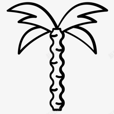 热带树山毛榉树枣树图标图标