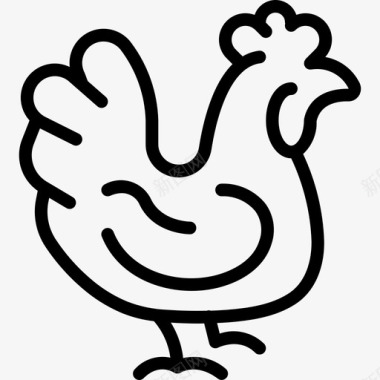 鸡肉养殖30直系图标图标