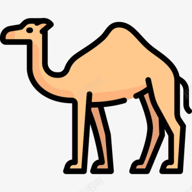 骆驼动物与自然2线性颜色图标图标
