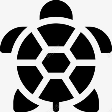 海龟野生动物3填充图标图标