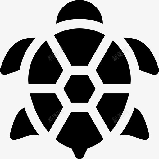 海龟热带6填充图标svg_新图网 https://ixintu.com 填充 海龟 热带6
