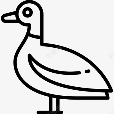 鸭动物与自然3直系图标图标