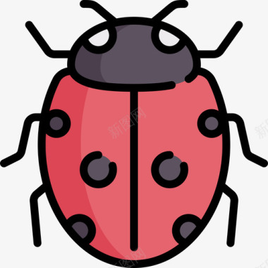瓢虫动物与自然2线性颜色图标图标